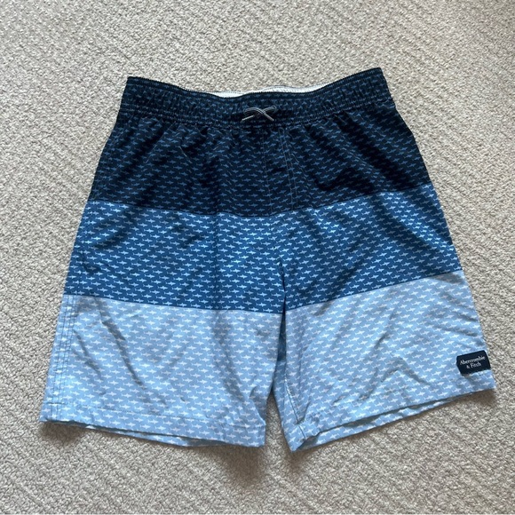 Abercrombie Swim Trunks - Picture 7 of 7